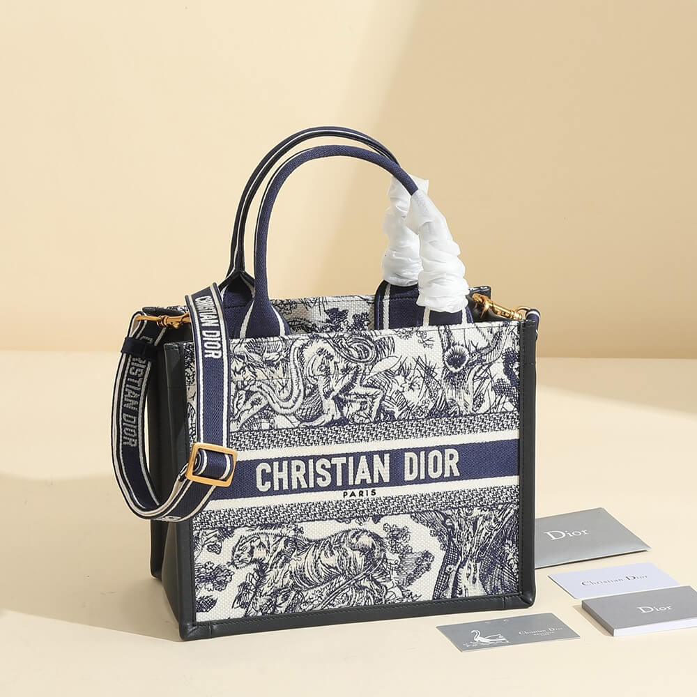 Small Dior Book Tote