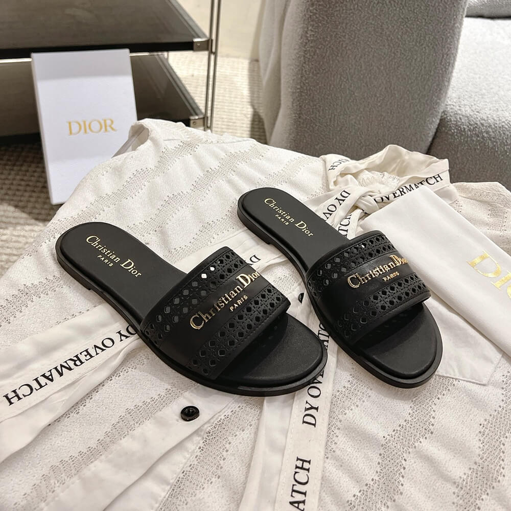 DIOR D-Lane Slide